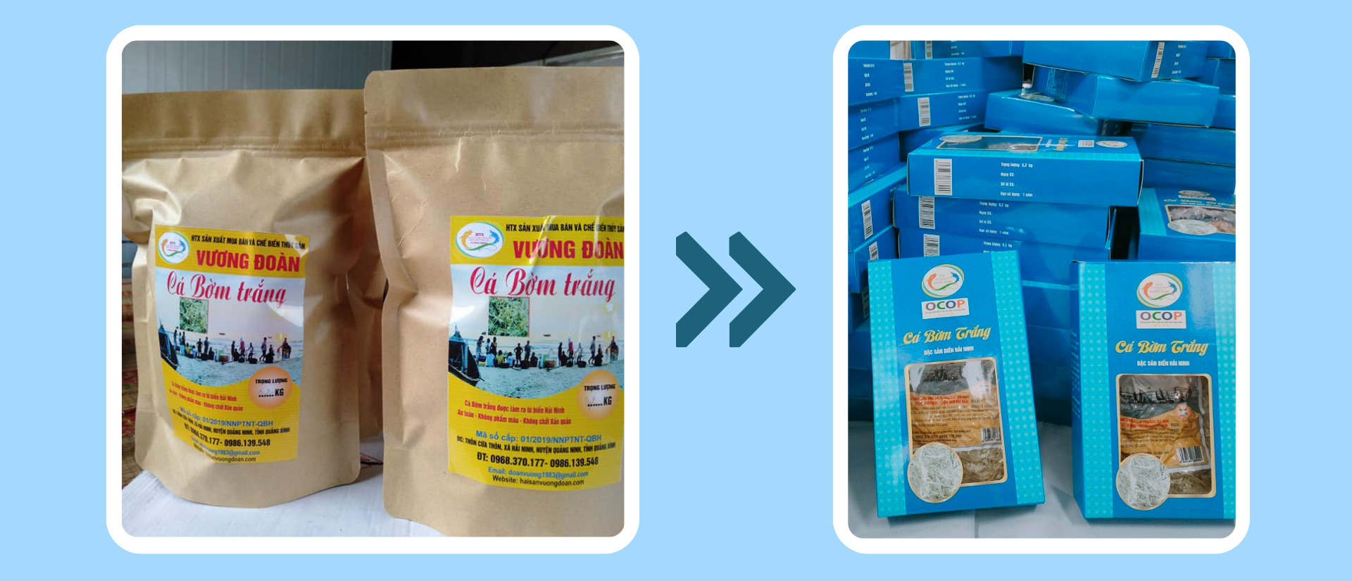 Cá bờm trắng