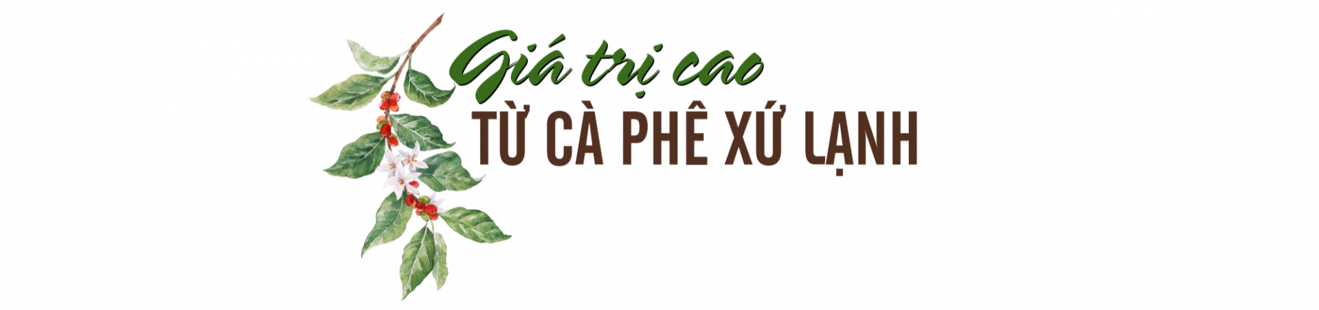 ca phe 1
