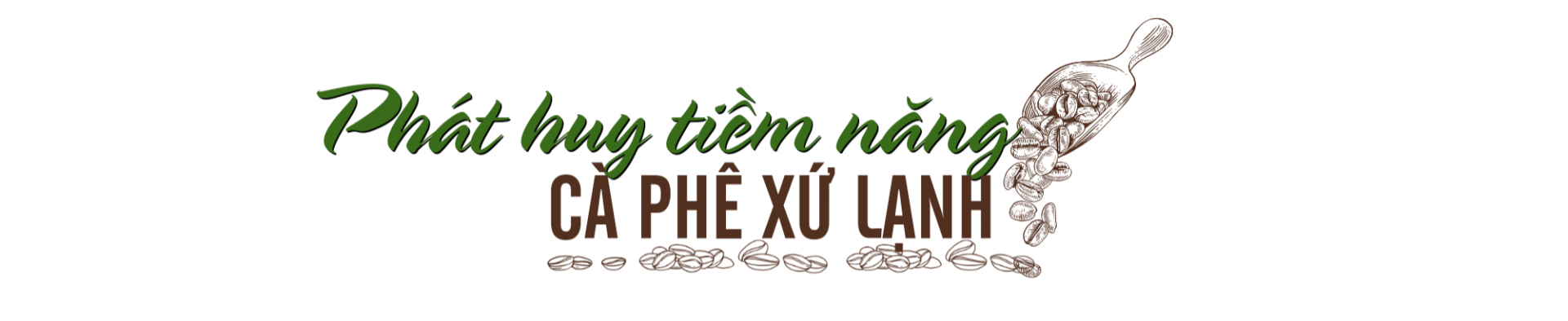 cà phê 3