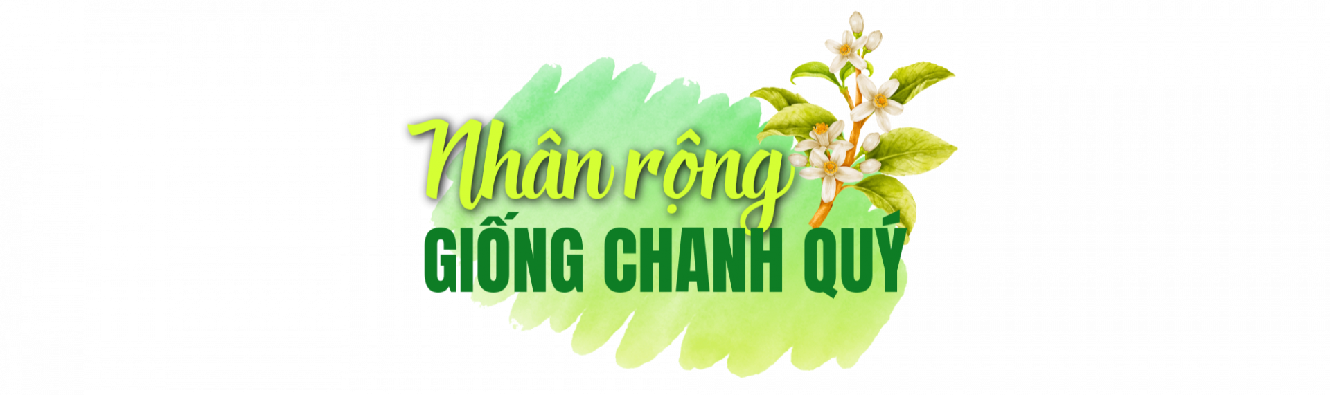 canh rừng 8