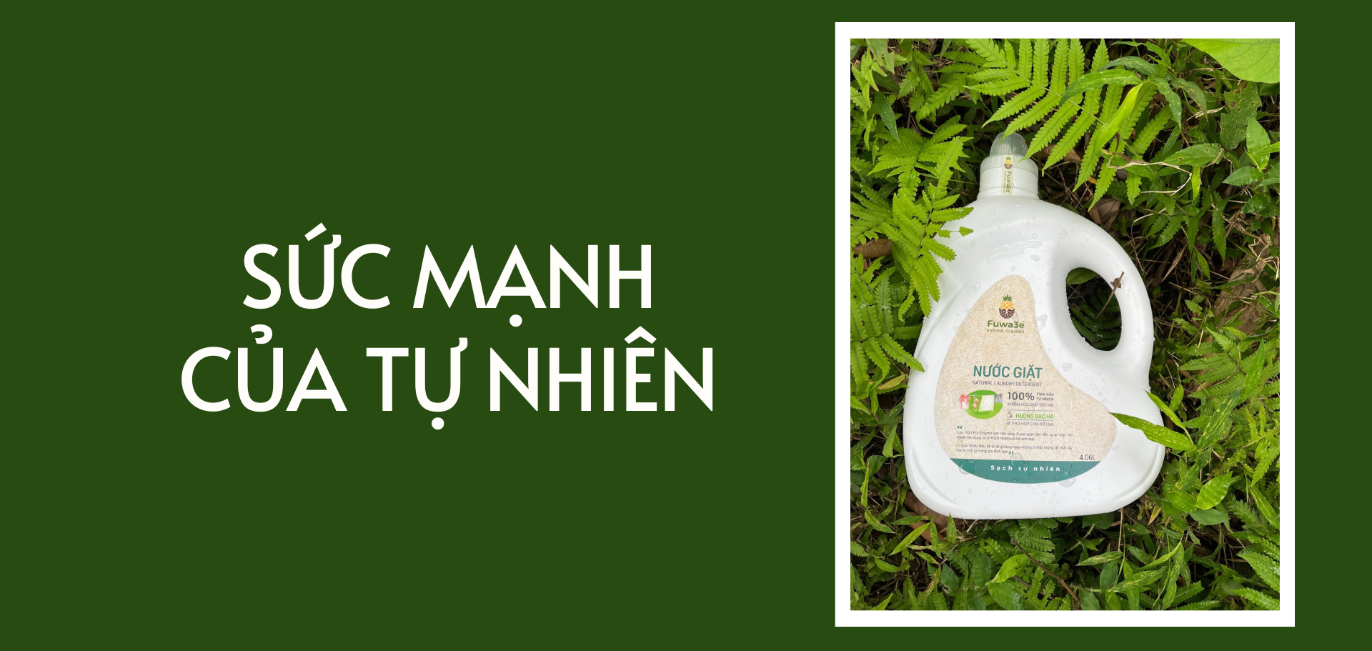 Nước tẩy rửa từ vỏ dứa