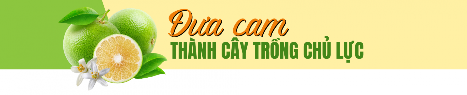 cam nam dong 1