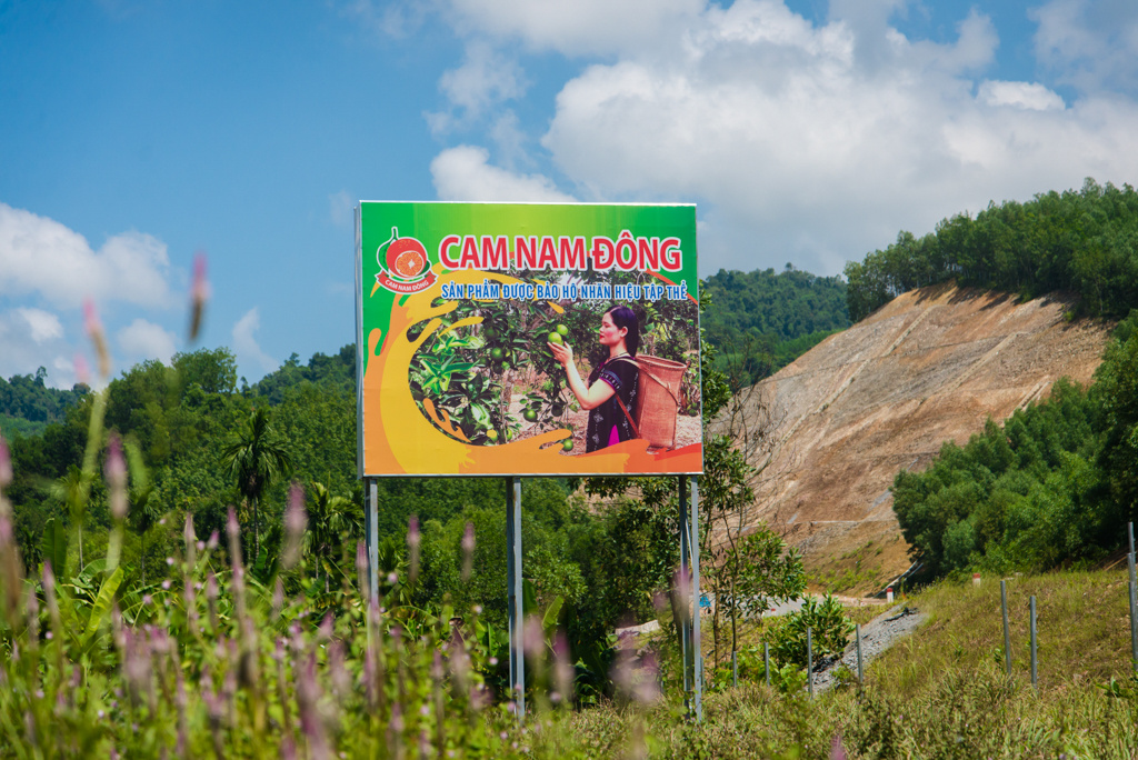 cam nam đông