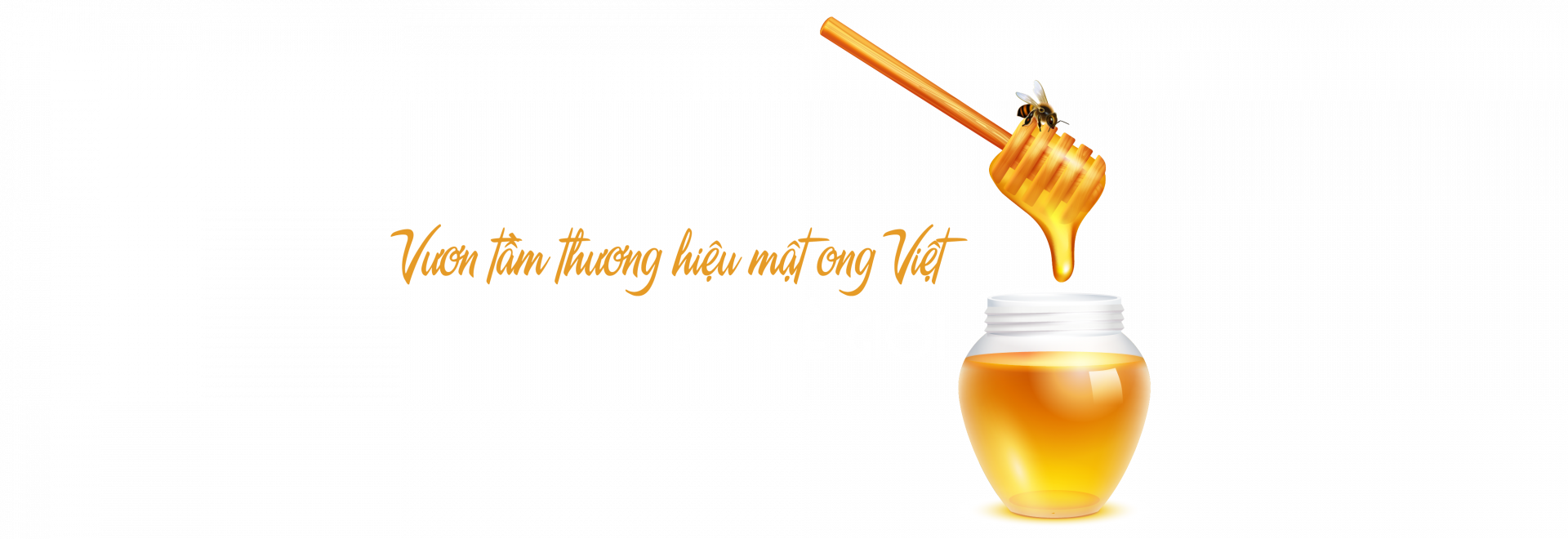 Mật ong Tam Đảo vươn tầm thế giới