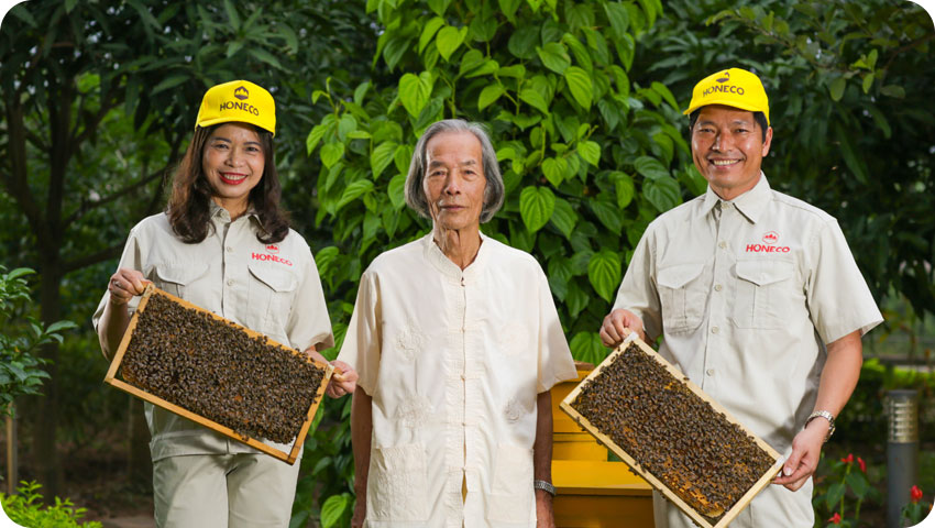 Mật ong Tam Đảo vươn tầm thế giới