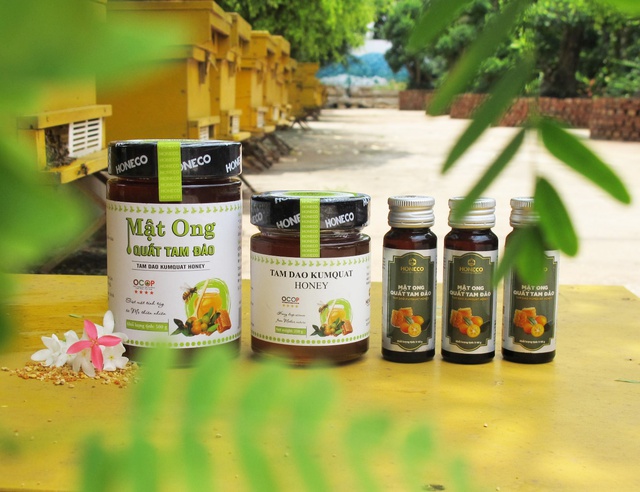 Mật ong Tam Đảo vươn tầm thế giới