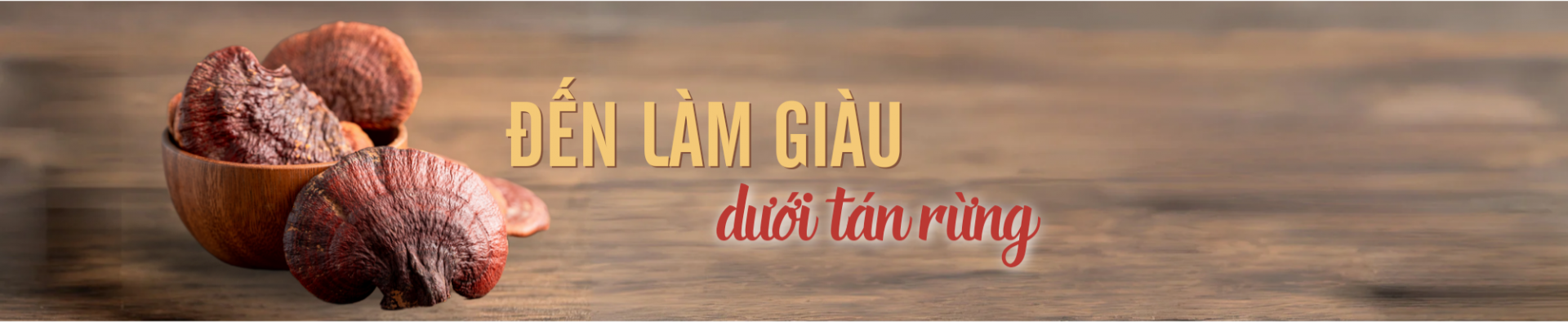 nam 2