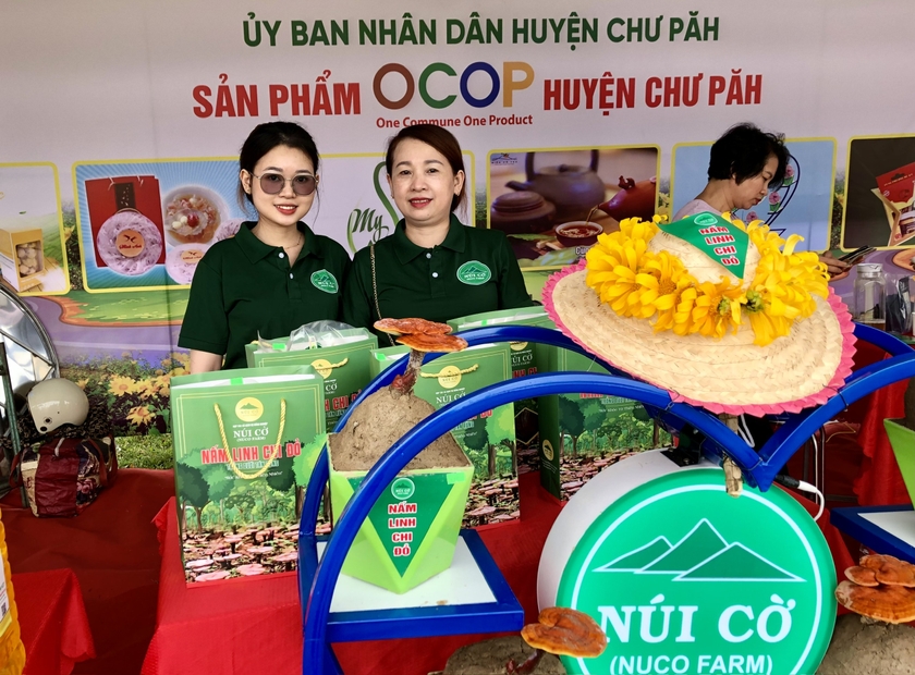 núi cờ