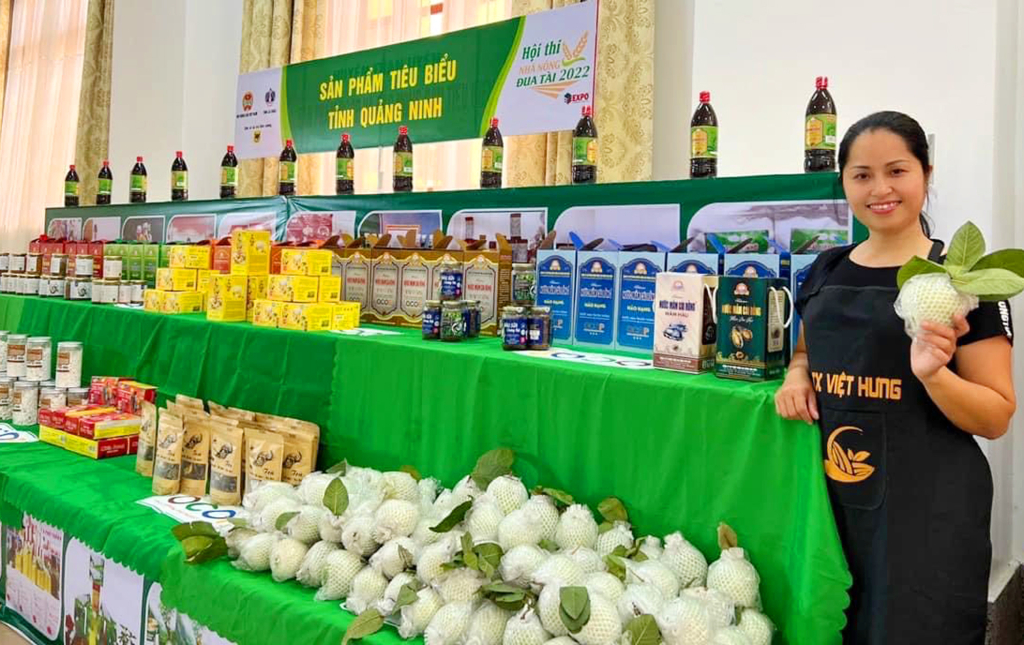ổi hoành bồ 