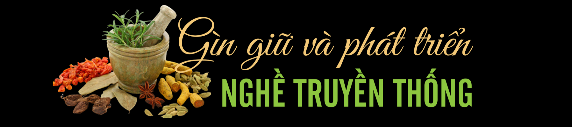 thuoc nam 1