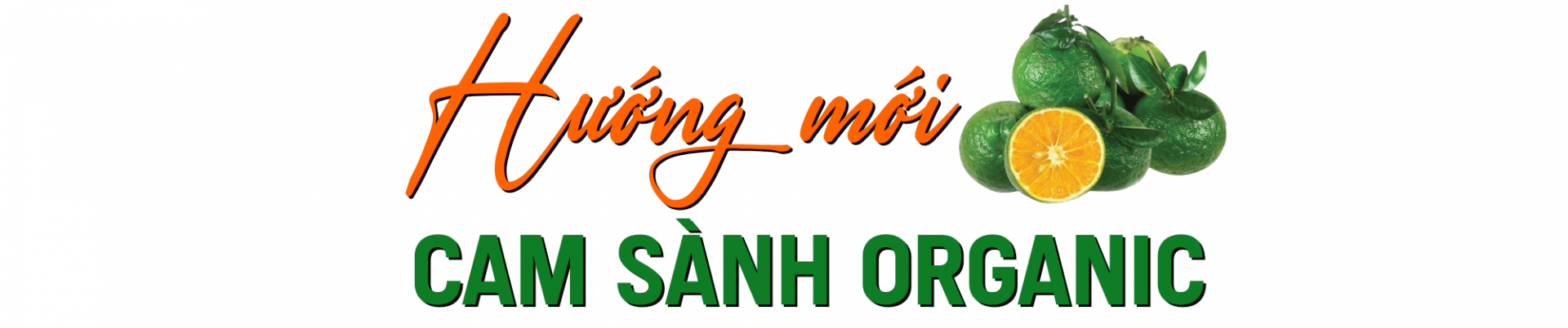 cam sanh 2