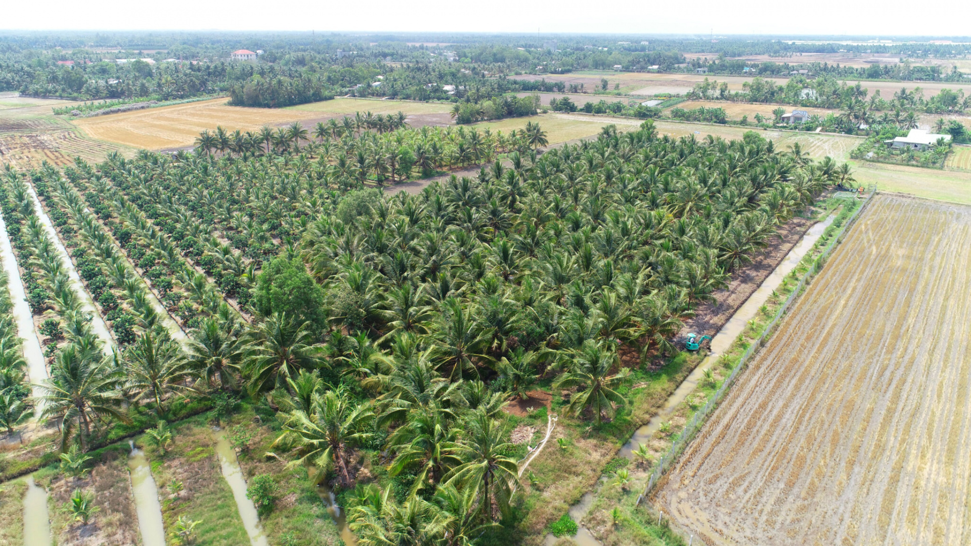 Mật hoa dừa tươi Sokfarm - Ấn tượng nét văn hoá Khmer
