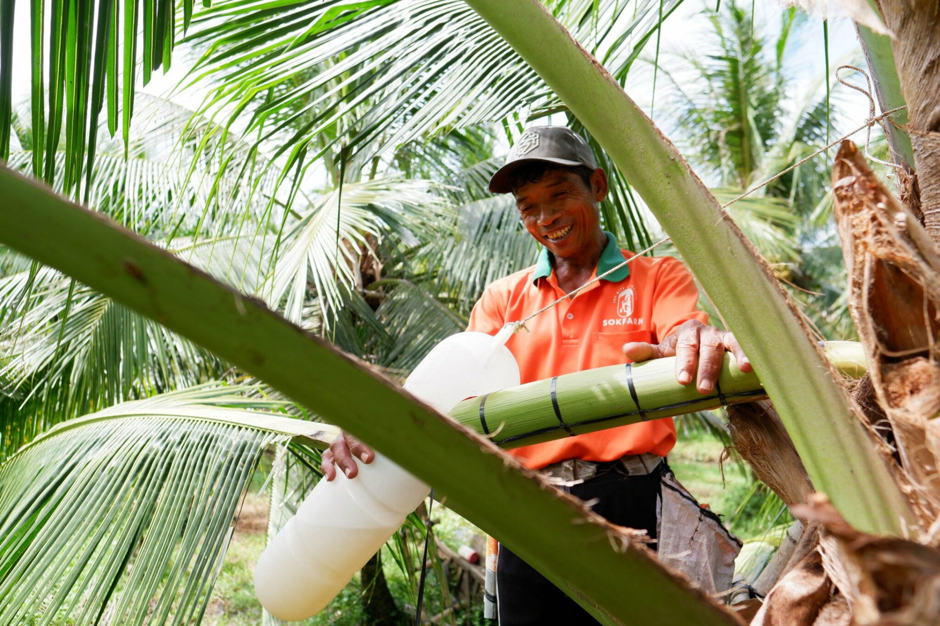 Mật hoa dừa tươi Sokfarm - Ấn tượng nét văn hoá Khmer