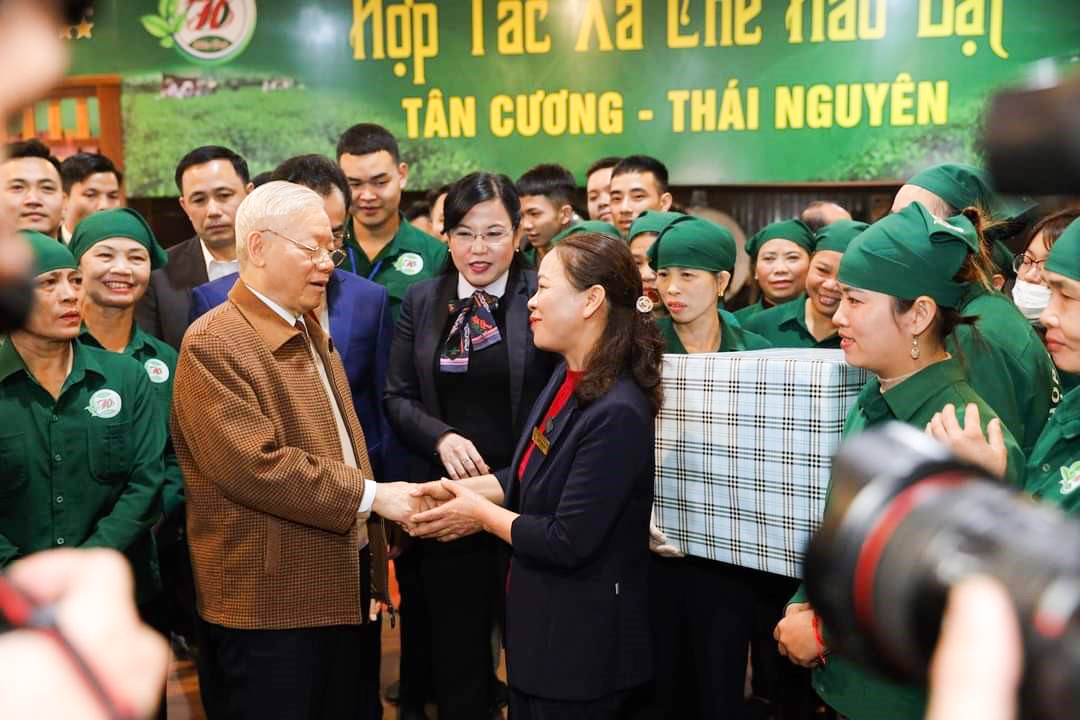 chè tôm nõn