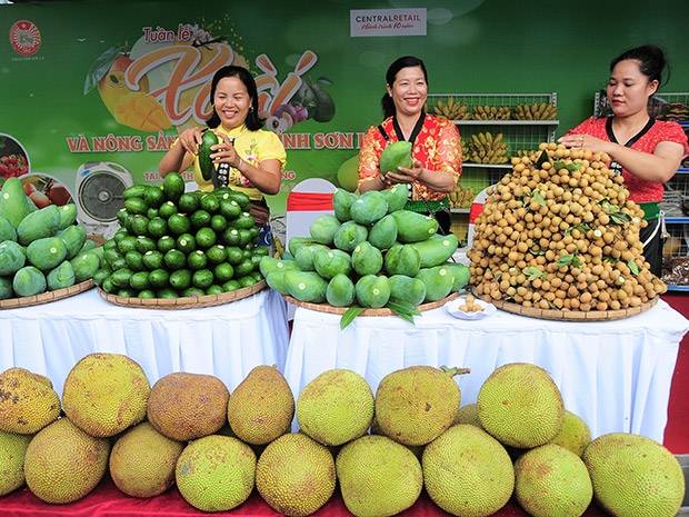 sơn tra