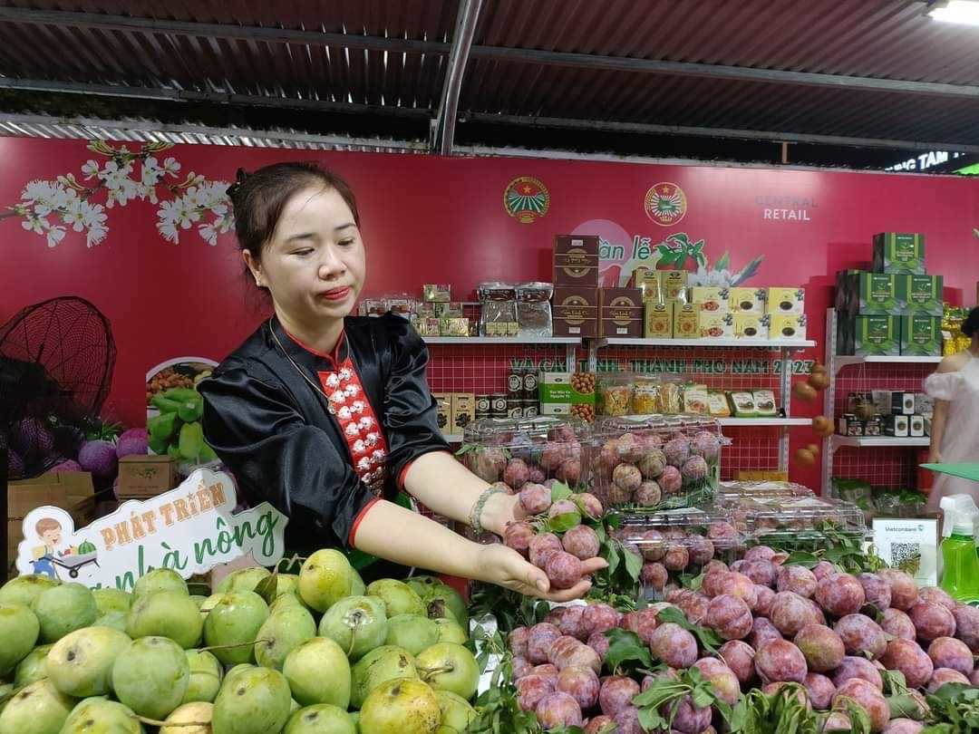 hang hoa mien nui