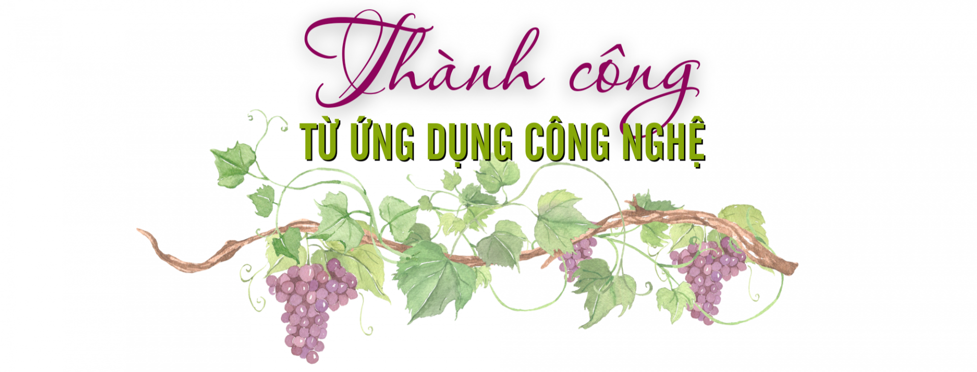 hạ đen 2