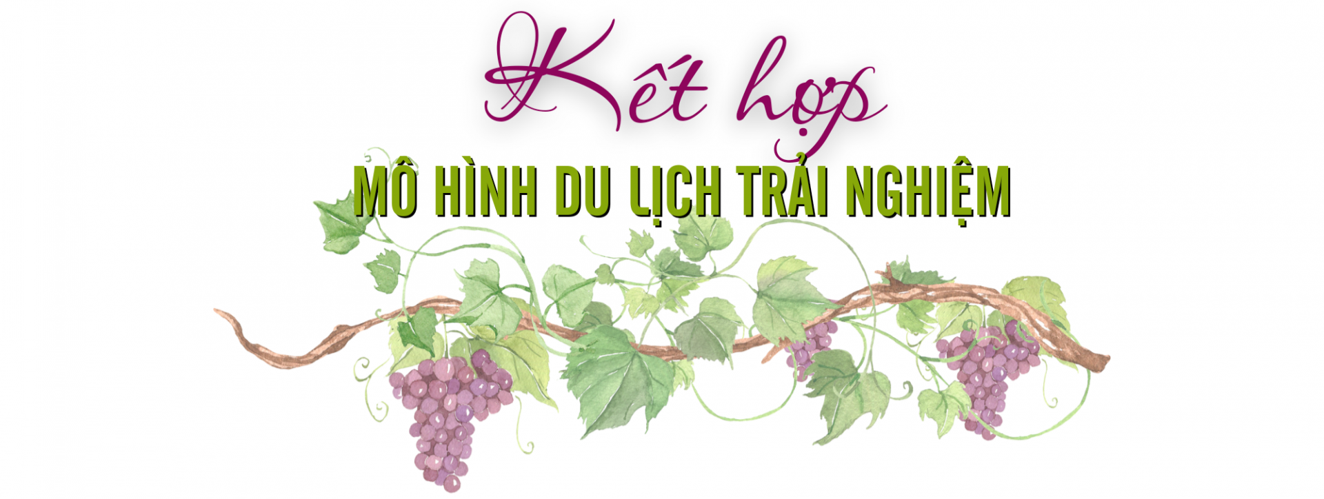 hạ đen 3