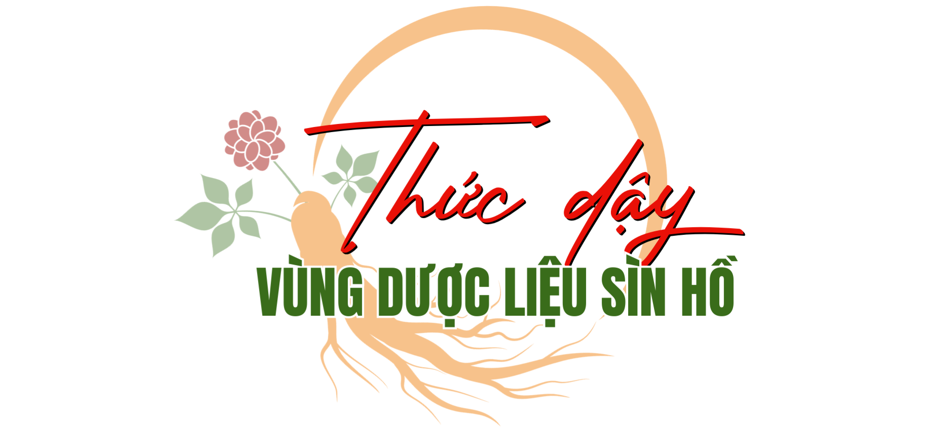 dược liệu sìn hồ