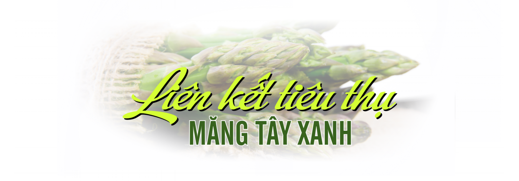 lien ket tieu thu mang tay