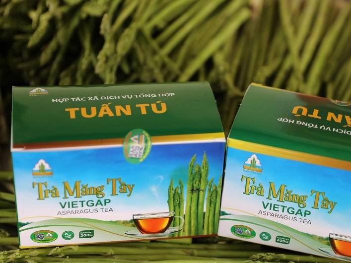 tra tuan tu