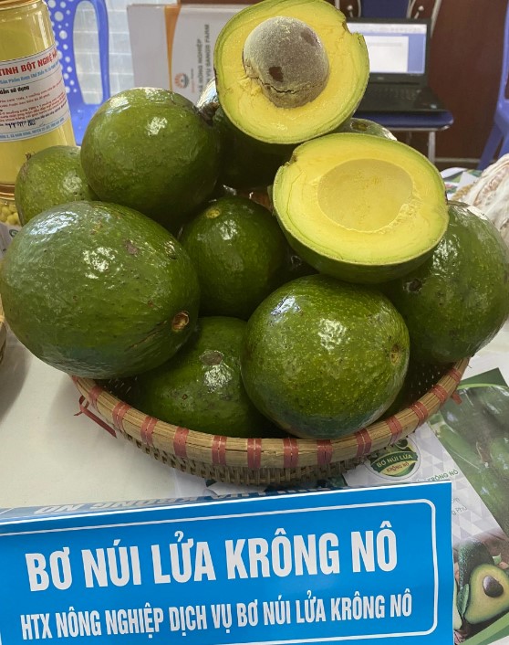 bơ núi lua