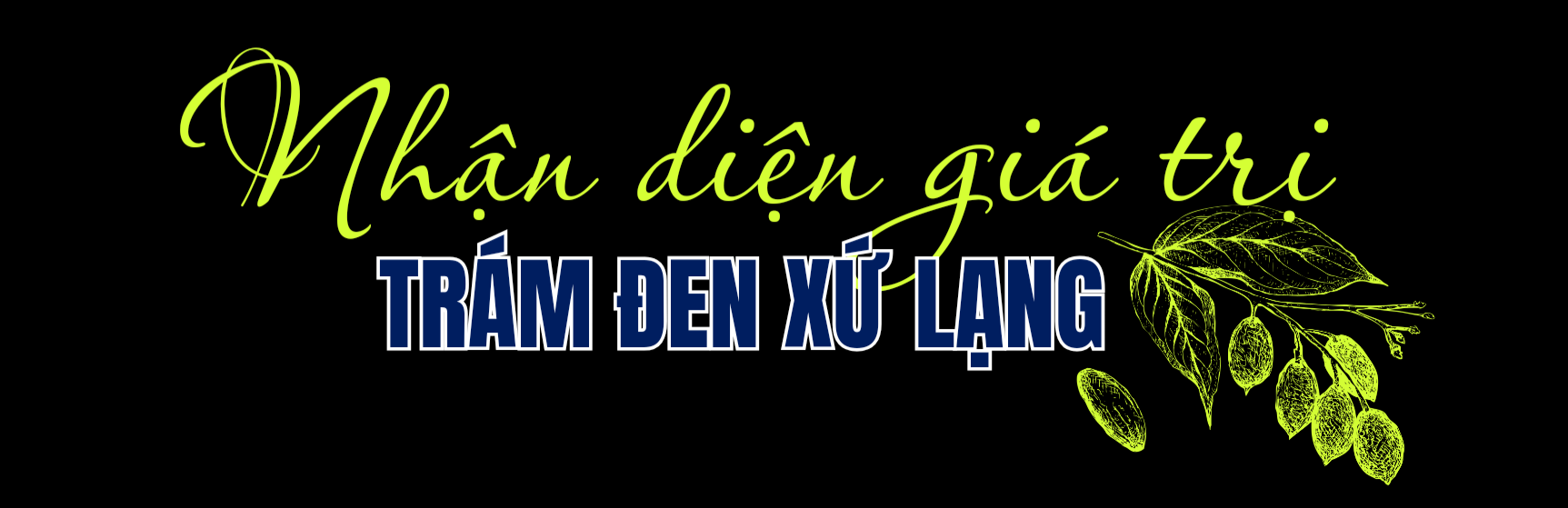 nhan dien gia tri