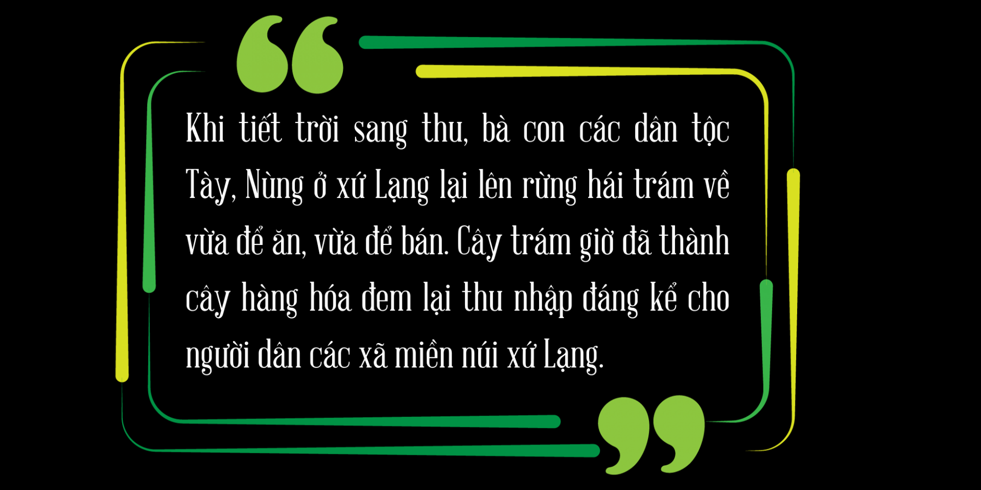 trám đen