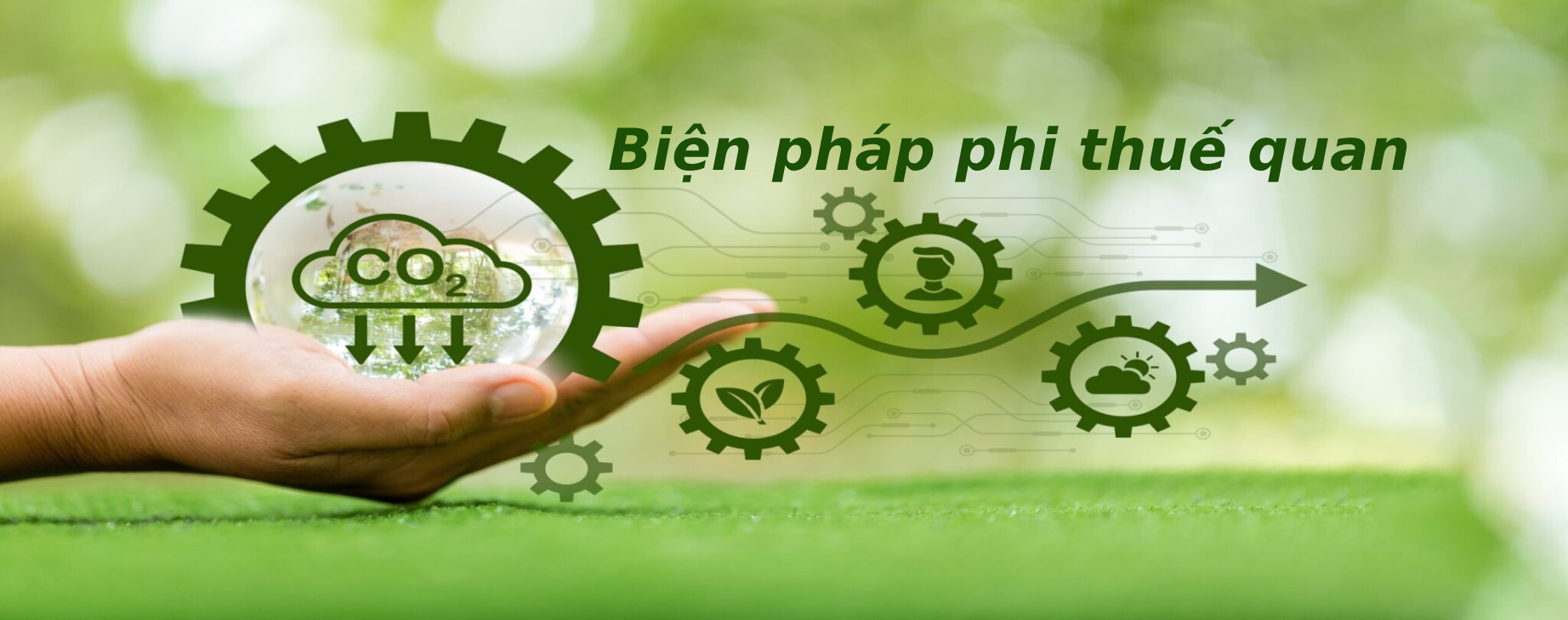 phi thuế quan