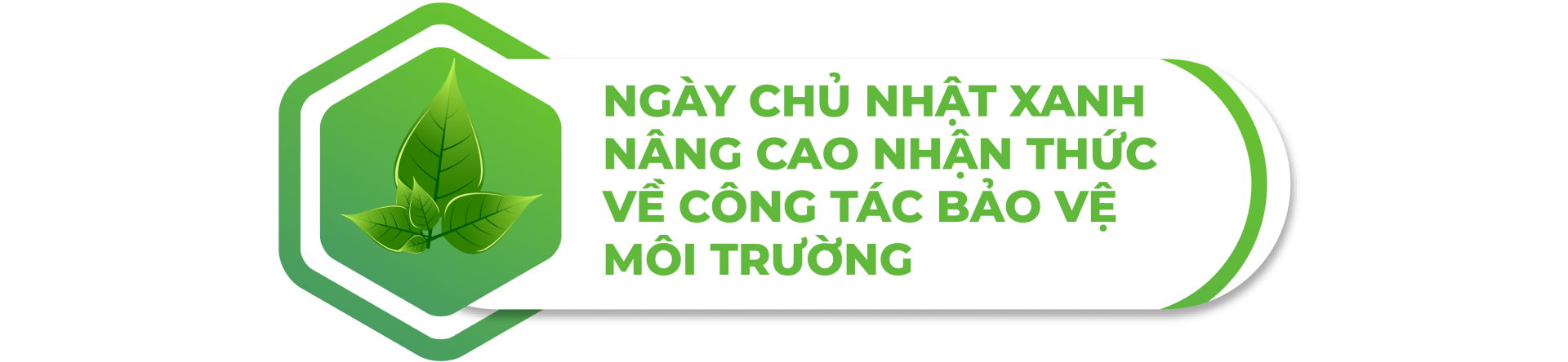 chu nhat xanh