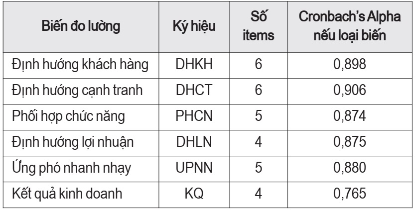 định hướng thị trường