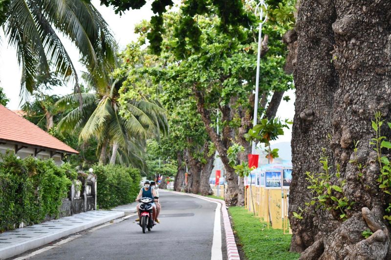 Côn Đảo - Tình yêu và nỗi nhớ