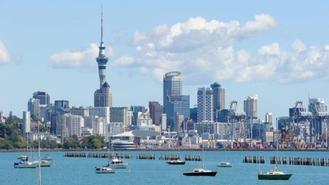 thị trường New Zealand
