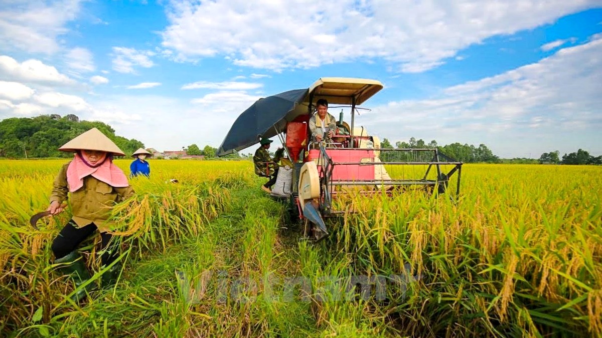 nông thôn mới công thương