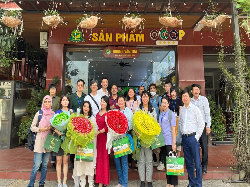 Hương Vân trà