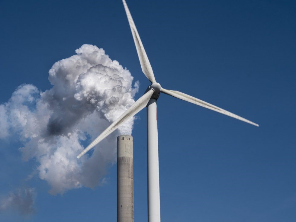 net zero