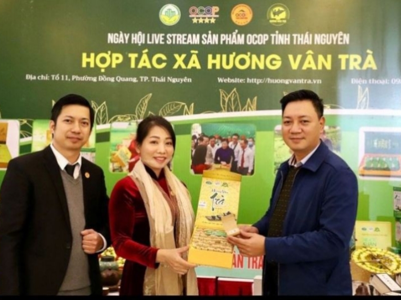 Hương vân trà