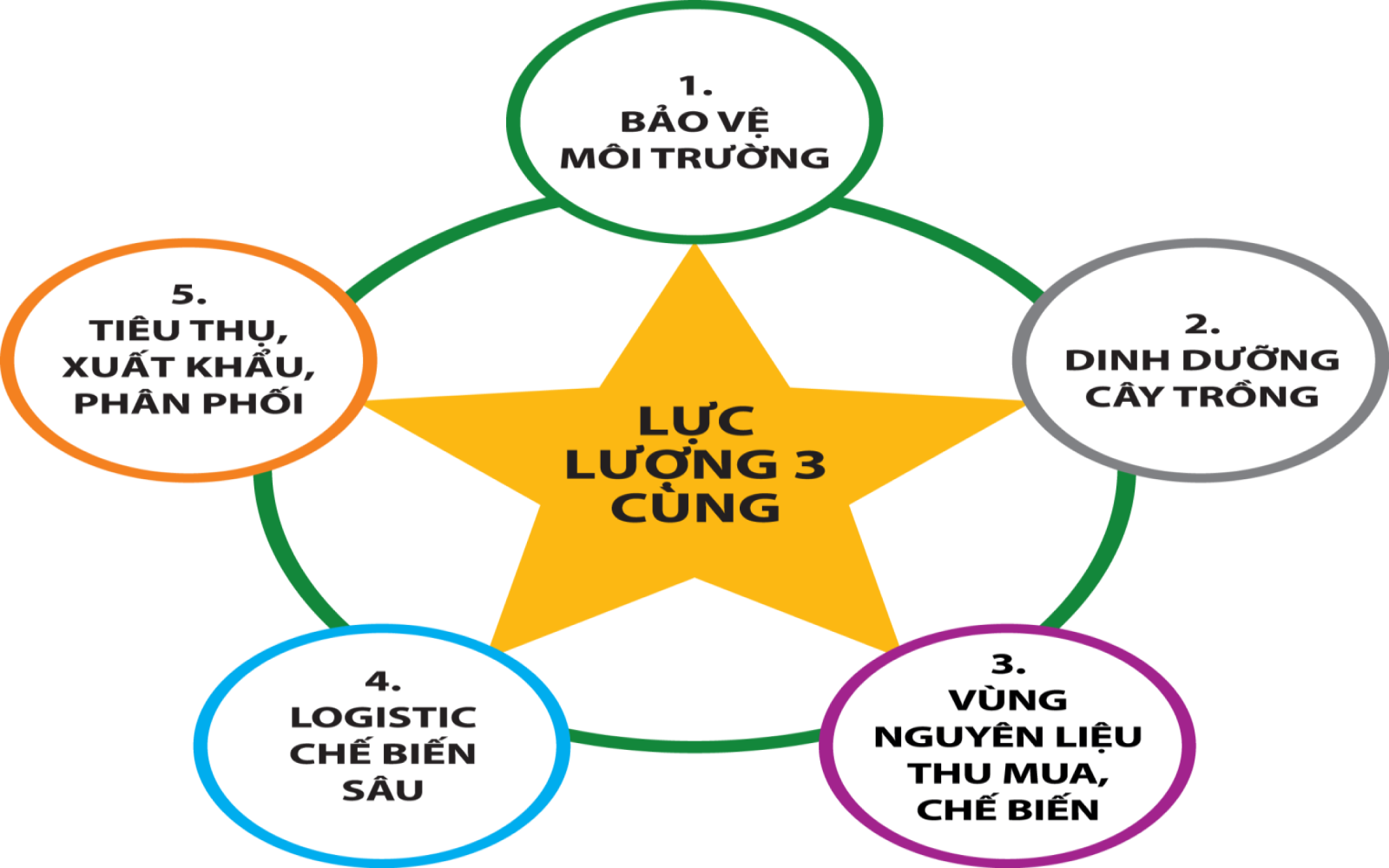 chuoi ba cung