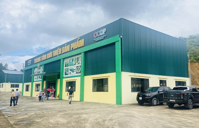 LỢn Móng Cái