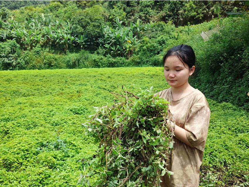 thach den 2