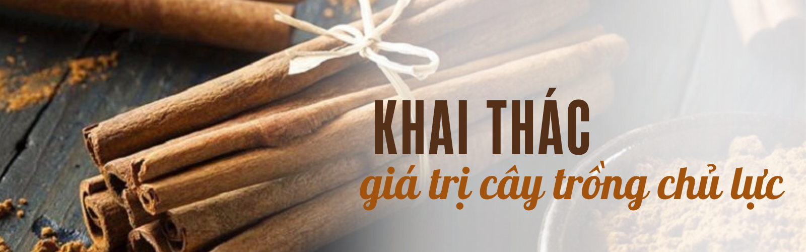 que lao cai 1