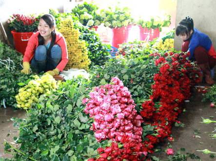 hong da lat 3