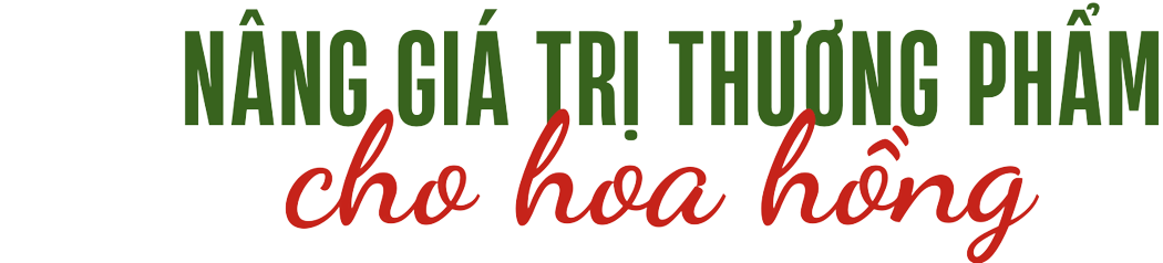 hoa hong 2