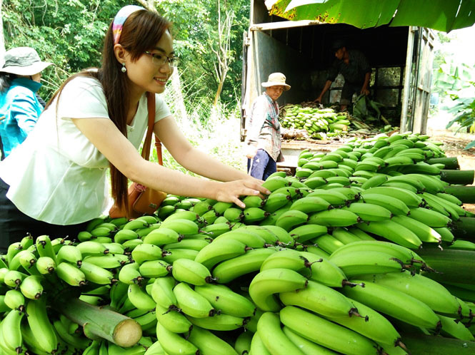 choi laba 10