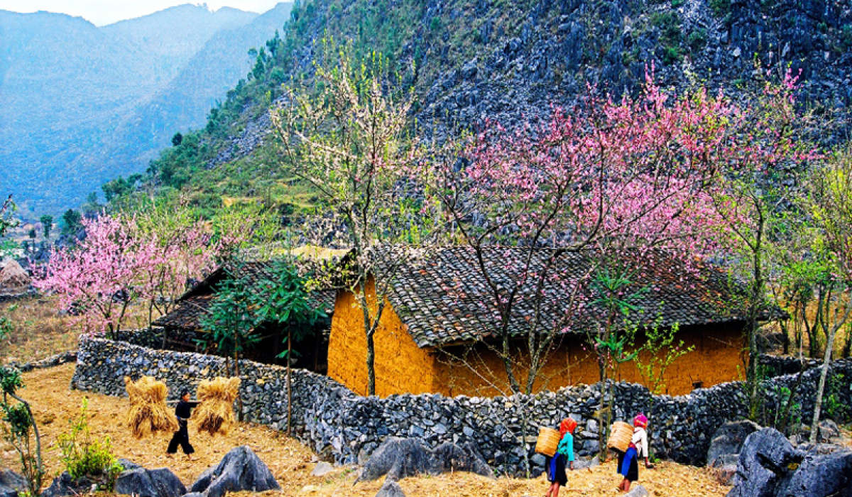 ha giang