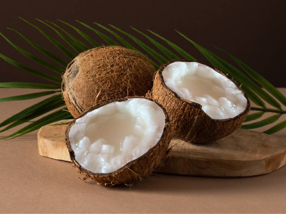 dừa sáp 2
