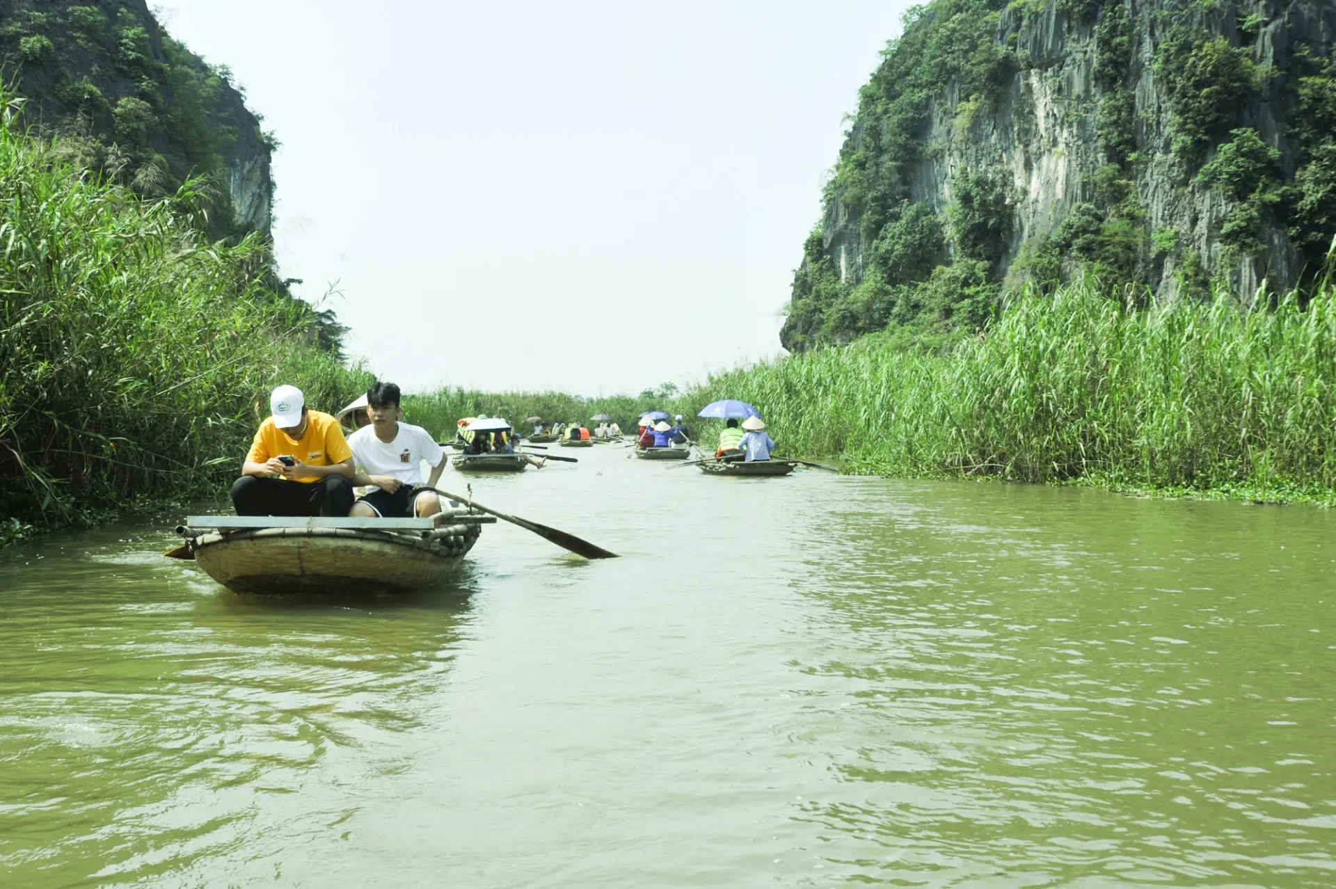 Gia Viễn