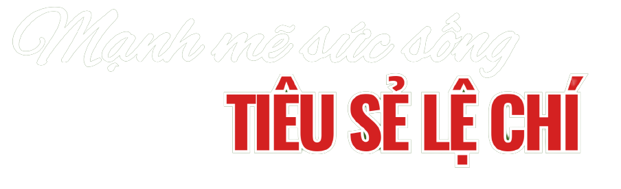 tieu se 3