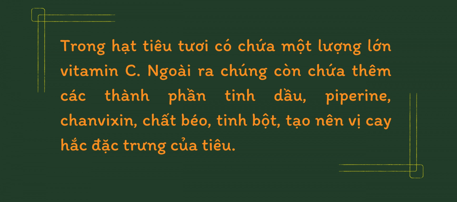 tieu 4