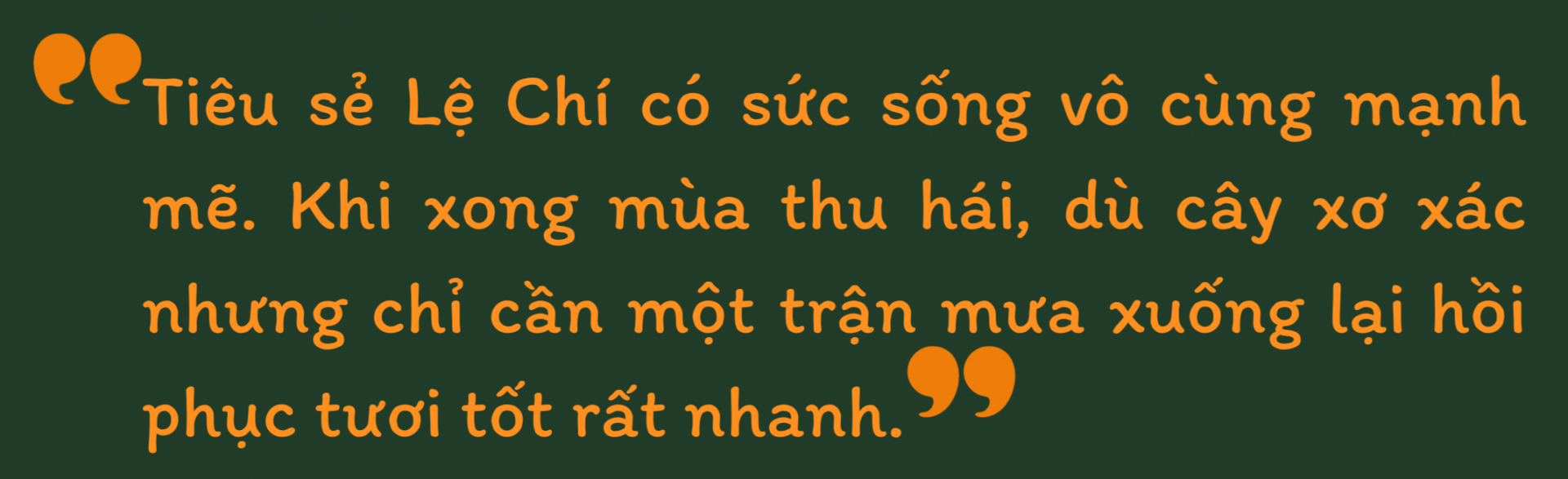 tieu sẻ